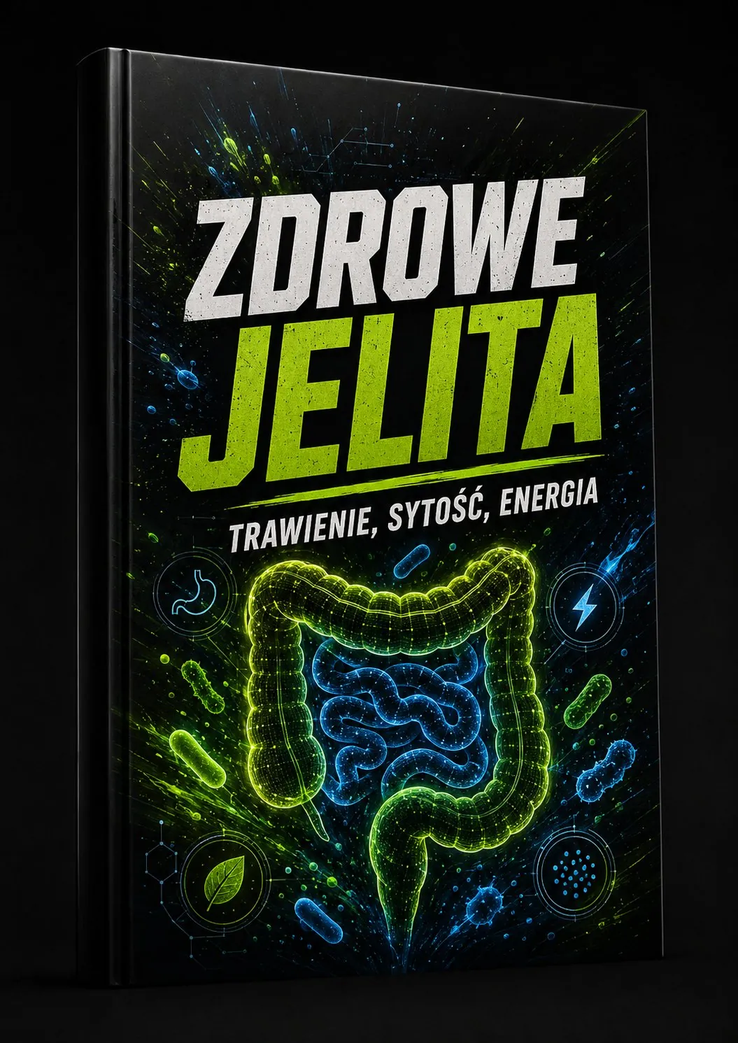 Ebook: Zdrowe Jelita