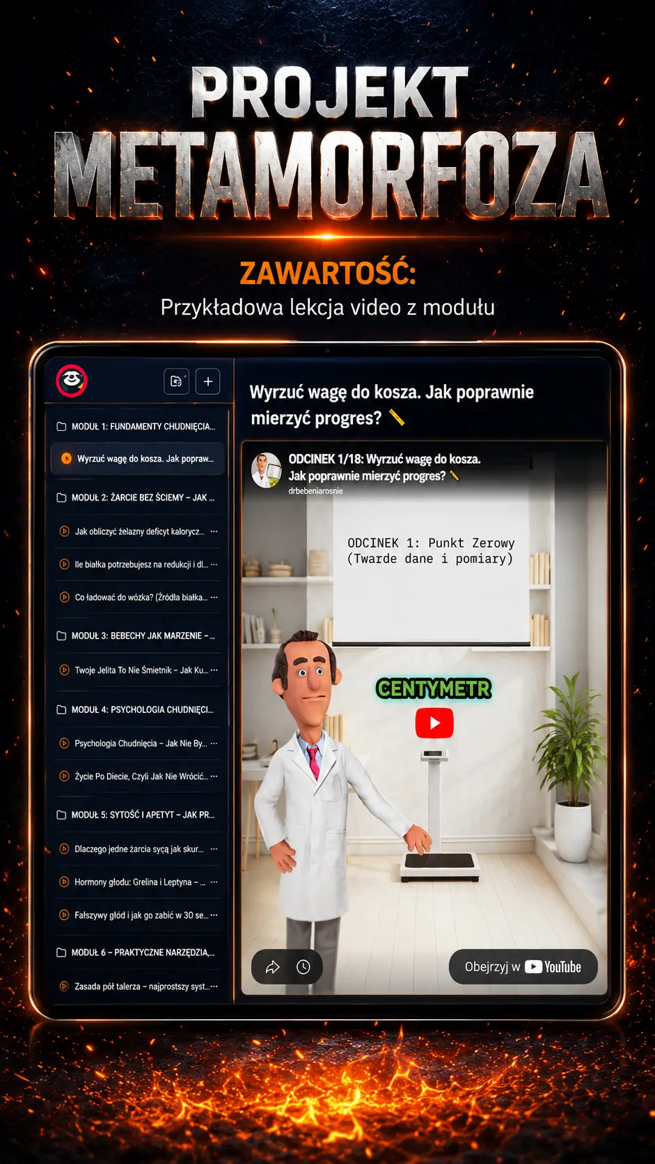 Zawartość projektu